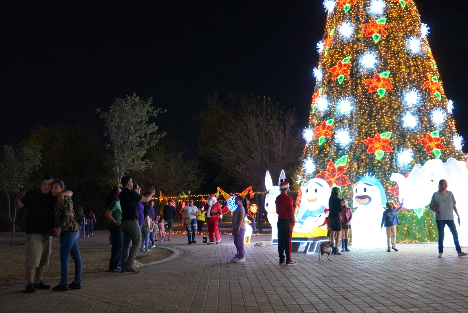 A disfrutar en familia luces y esplendor del ‘Viveros Mágico’