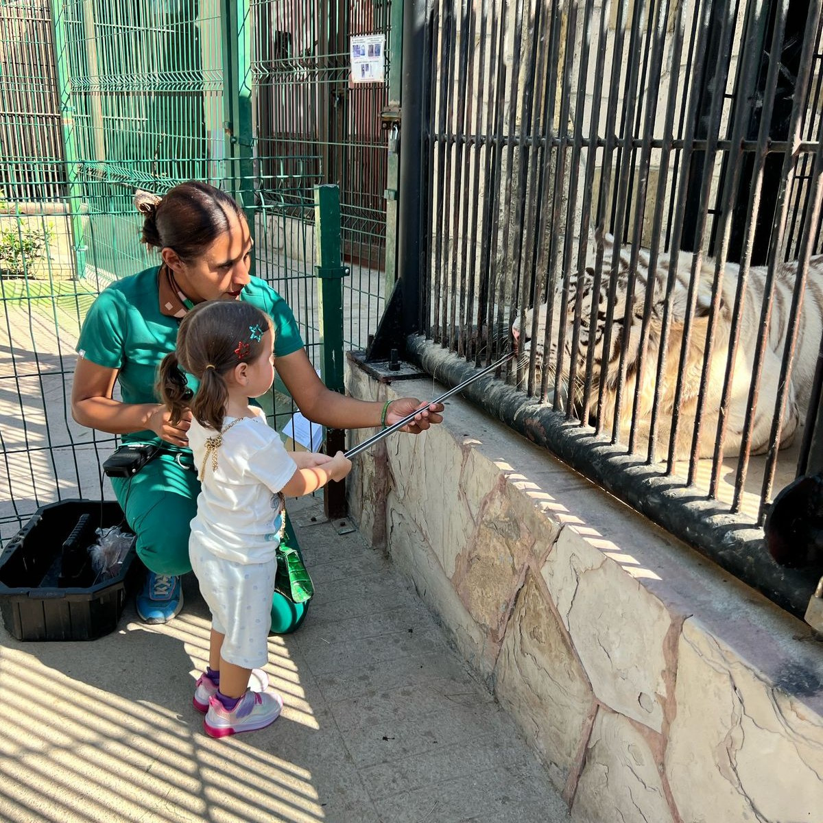 Amplía su horario el zoológico durante esta semana
