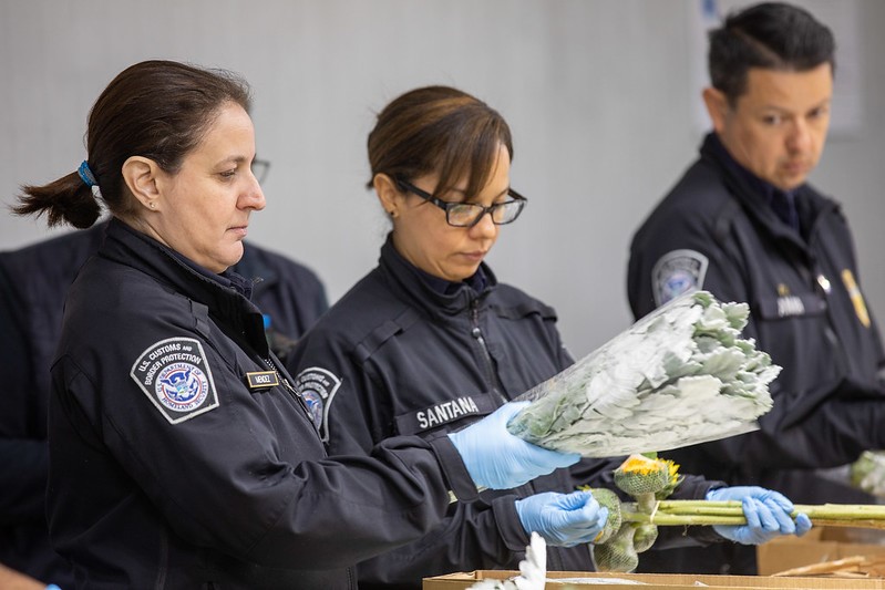 Vigilancia extrema en frontera con México a la importación de flores para el 10 de mayo