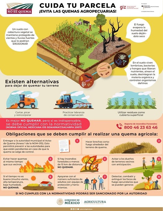 Inician campaña ‘Mi Parcela no se Quema’ para prevenir incendios forestales
