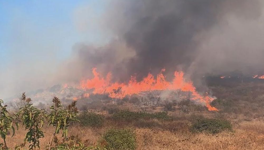 Aumentan incendios 50% más que antes de Canícula: PC