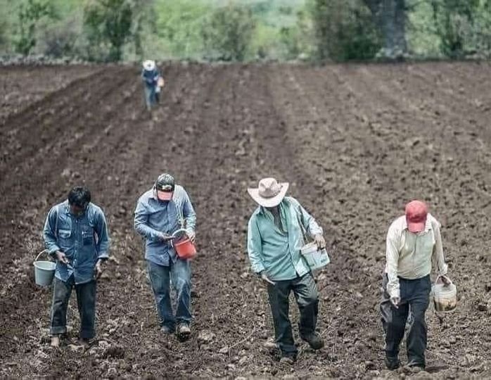 “Nos van a matar de hambre”, acusa líder campesino a Conagua
