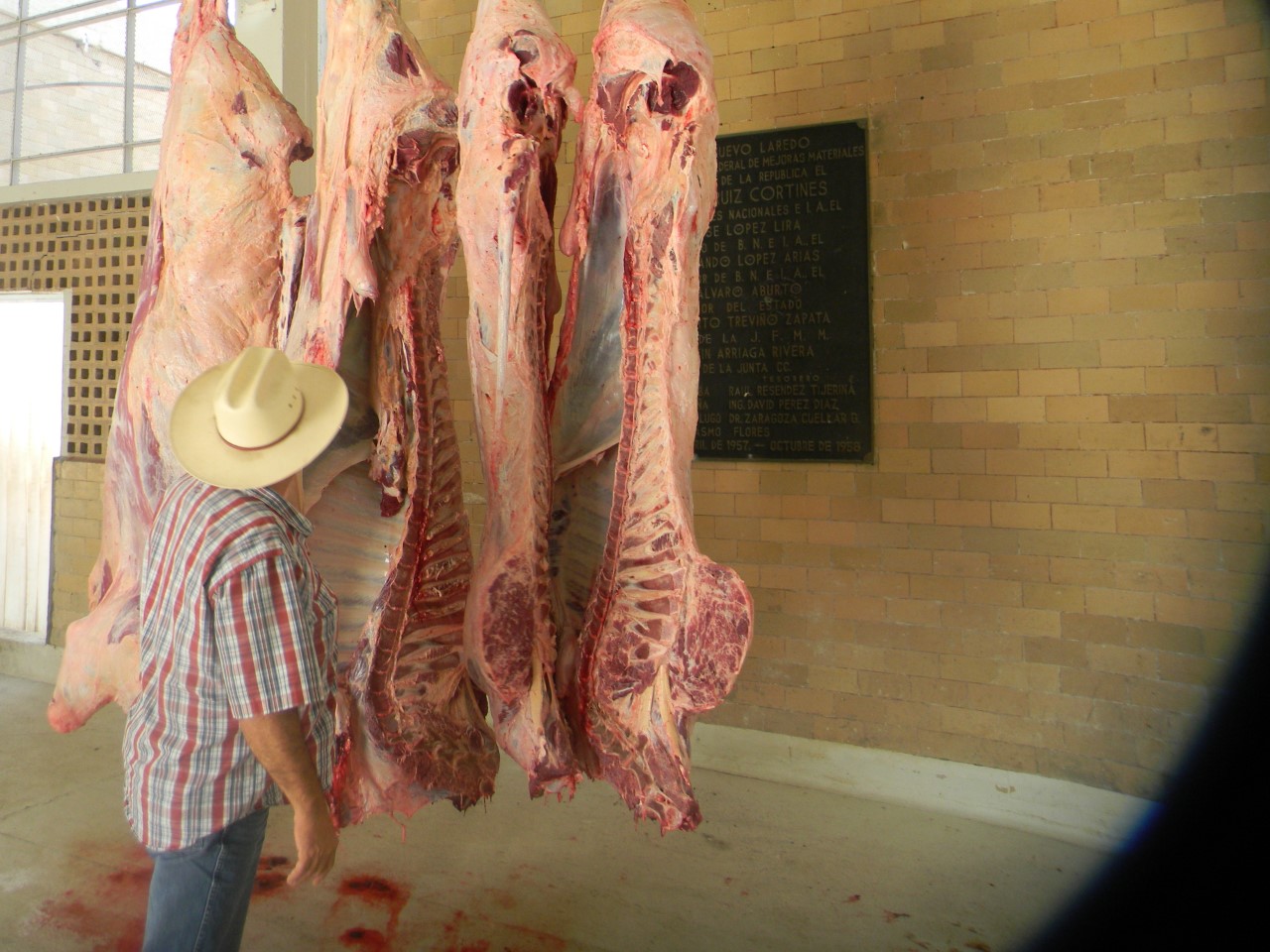 Expendios de carne para consumo humano bajo la lupa de Coepris por exceso de Clembuterol