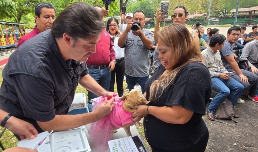 Aplicará Salud 345 mil dosis en campaña de vacunación antirrábica