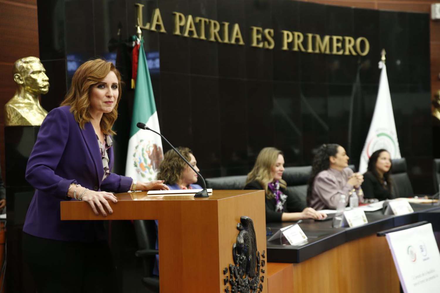 “Defenderemos en el Senado el derecho a la información”, dice senadora Imelda Sanmiguel