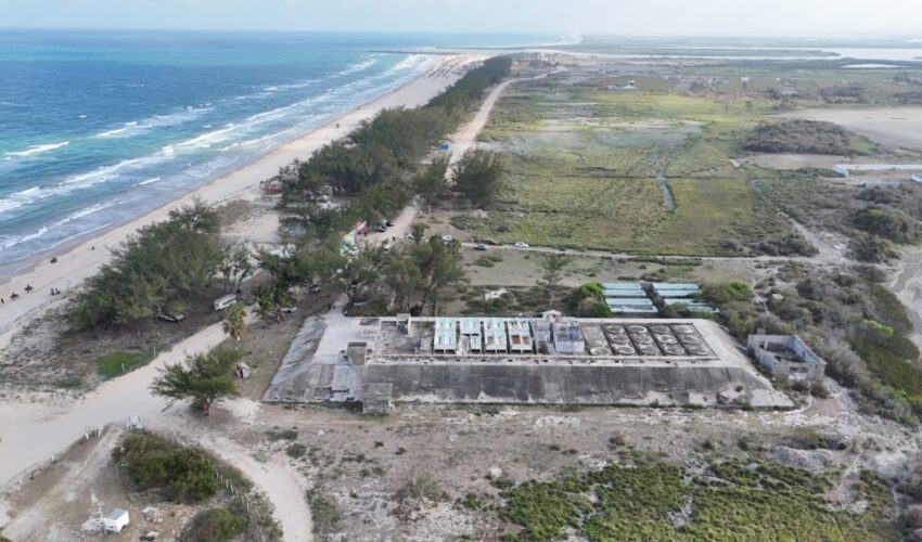 Impulsa el Gobierno del Estado patrimonio cultural con museo de la tortuga Lora